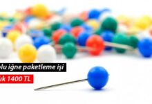 toplu iğne