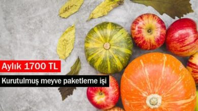 kurutulmuş meyve