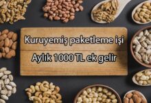 kuruyemiş