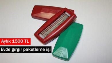 gırgır