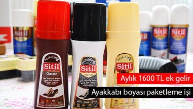 ayakkabı boyası