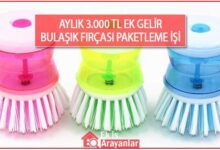 bulaşık fırçası